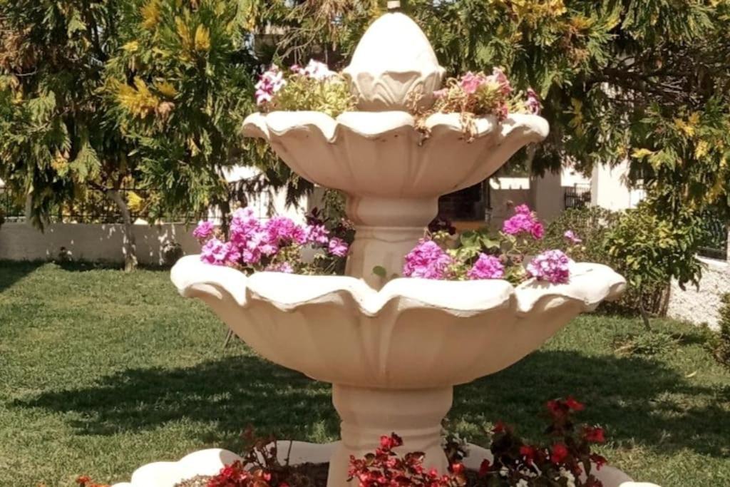 Διαμέρισμα Μεντησ 이구메니차 외부 사진